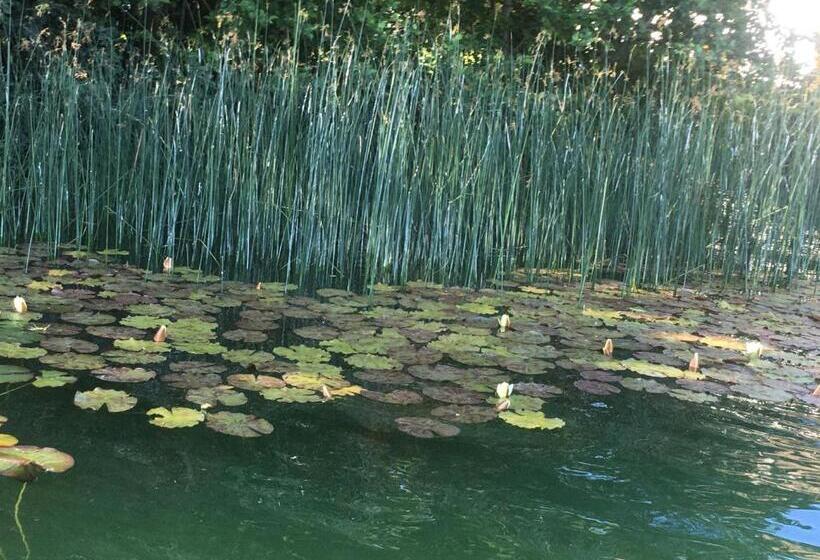 غرفة قياسية, B&b Friedau