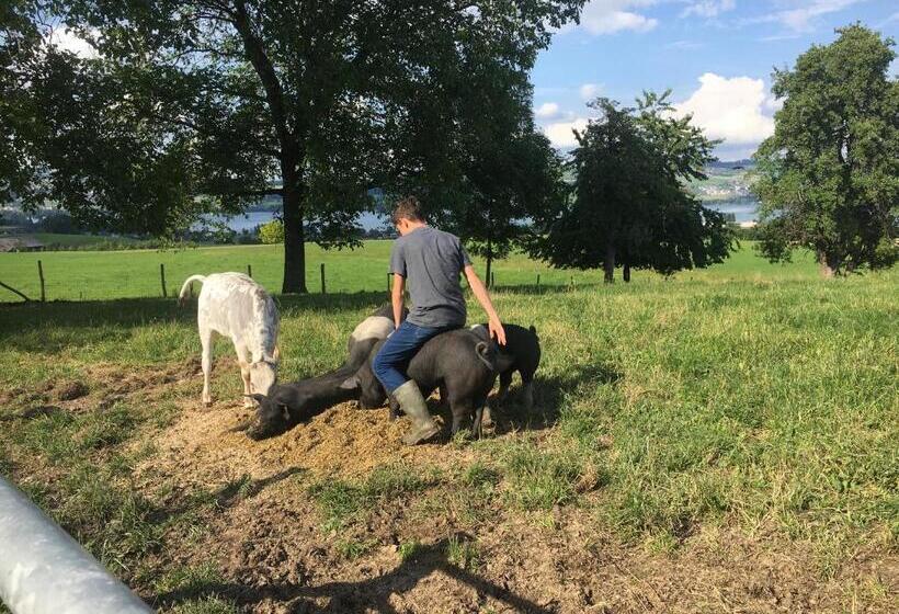 غرفة قياسية, B&b Friedau