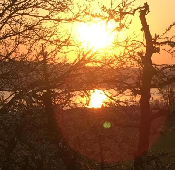 غرفة قياسية, B&b Friedau