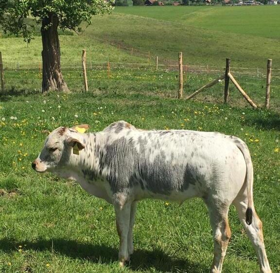 غرفة قياسية, B&b Friedau