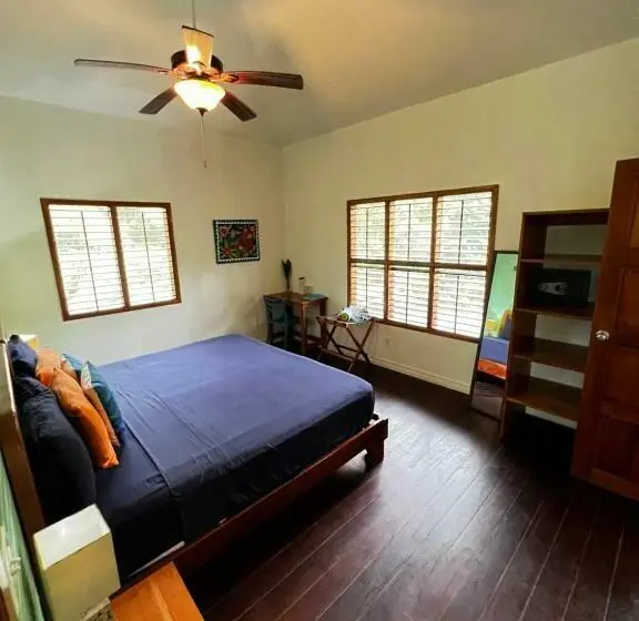 اتاق استاندارد با تخت بزرگ, Turtle Beach House