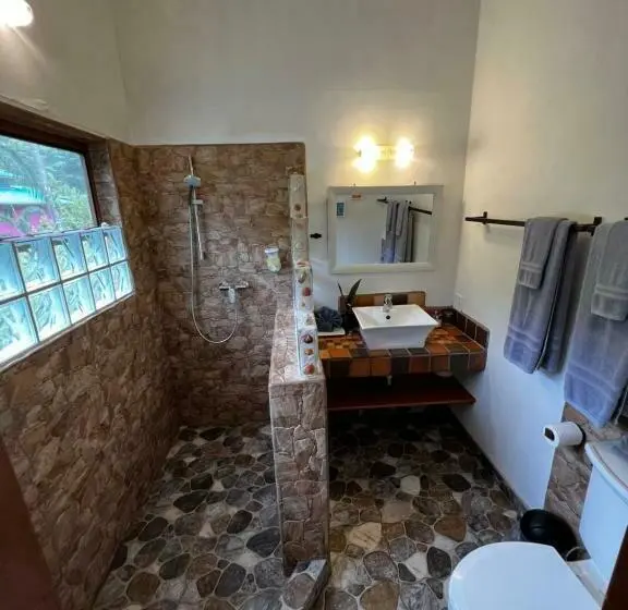 اتاق استاندارد با تخت بزرگ, Turtle Beach House