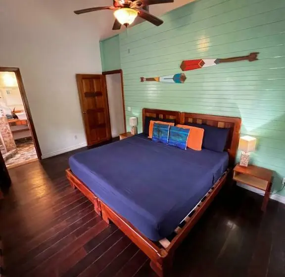 اتاق استاندارد با تخت بزرگ, Turtle Beach House