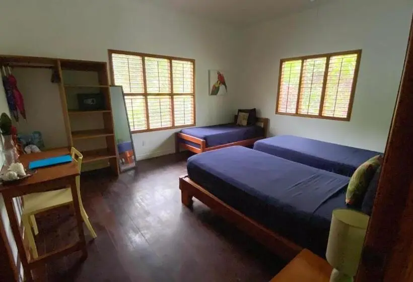 اتاق استاندارد با تخت بزرگ, Turtle Beach House