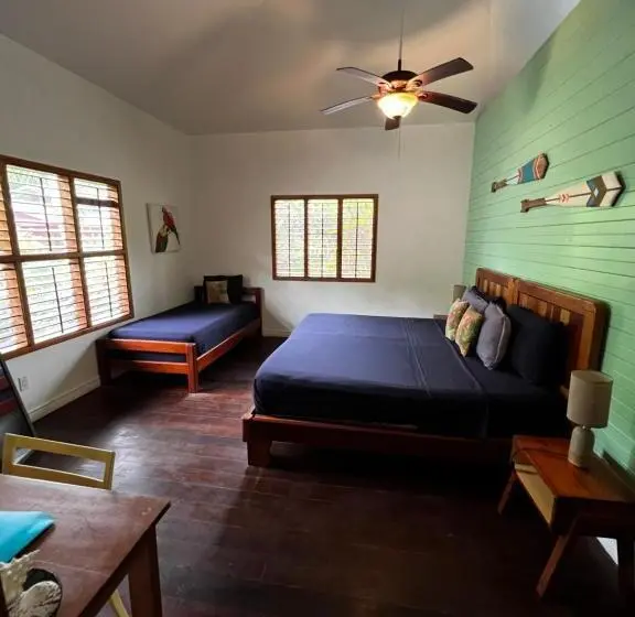 اتاق استاندارد با تخت بزرگ, Turtle Beach House