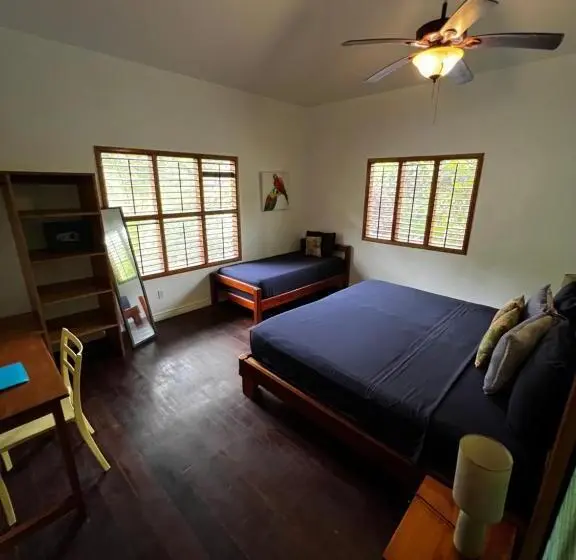 اتاق استاندارد با تخت بزرگ, Turtle Beach House