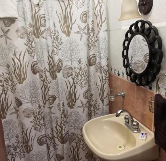 スタンダードルーム, Pension Baja Paradise