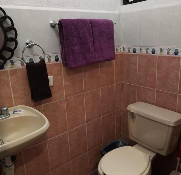 スタンダードルーム, Pension Baja Paradise