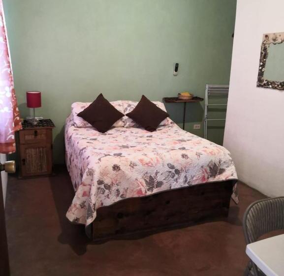 スタンダードルーム, Pension Baja Paradise