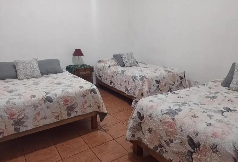 Economy Quadruple Room, Pension Baja Paradise