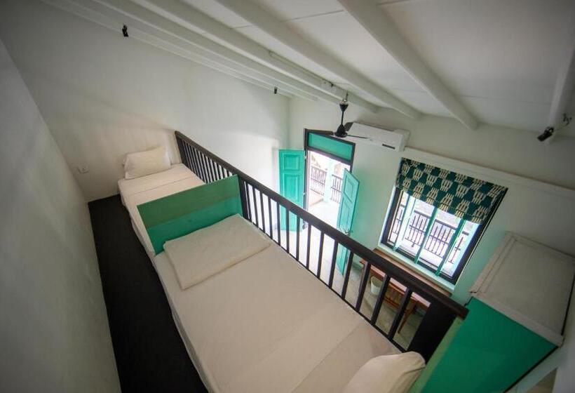 디럭스 4인 룸, Parawa House