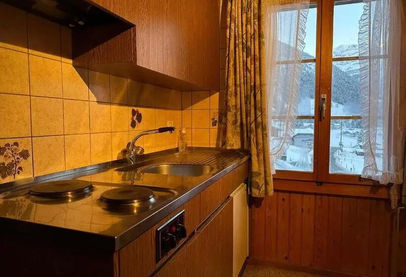 景色の見える一ベッドルームアパートメント, Bären Lodge