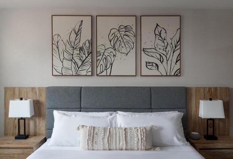 장애인을 위한 킹사이즈 침대 스탠다드 룸, The Wave At Marblehead