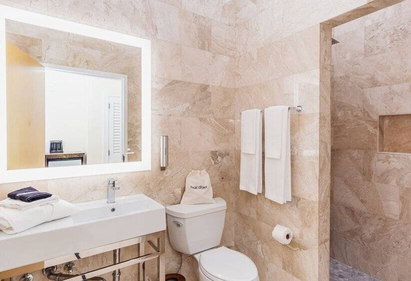 豪华房间, The Link Hotel South Beach