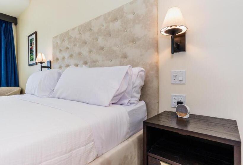 带大床的标准间, The Link Hotel South Beach