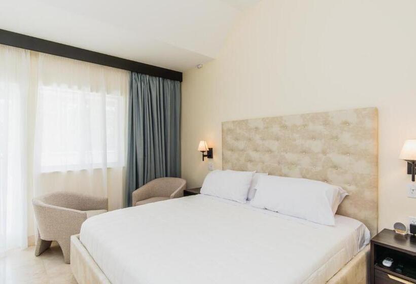 带大床的高级房间, The Link Hotel South Beach