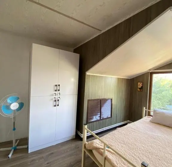 اتاق خانوادگی, Aport Hostel Alma Ata