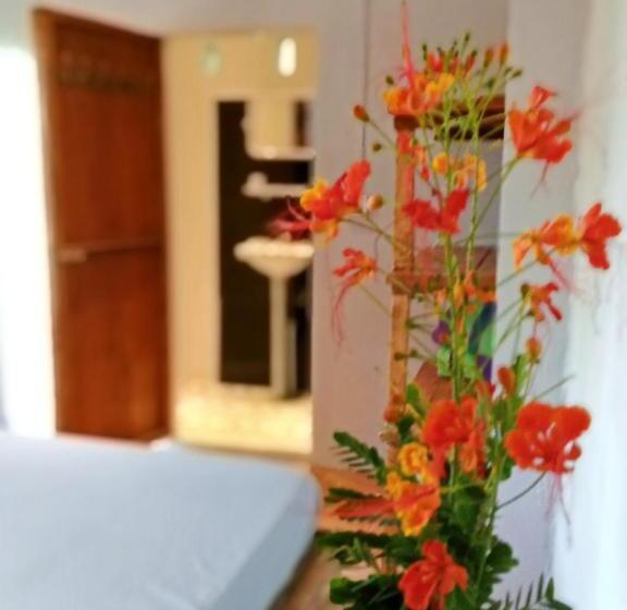 Standard Interior Room, Dragonfly Guesthouse