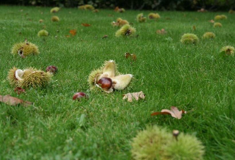 غرفة ديلوكس سرير كينج, B&b Van Dinter