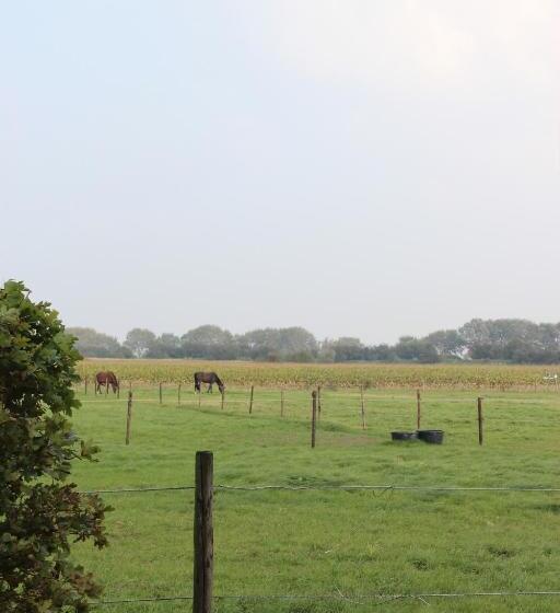 خانه 1 خوابه, Gastenverblijven Boerderij Het Driespan