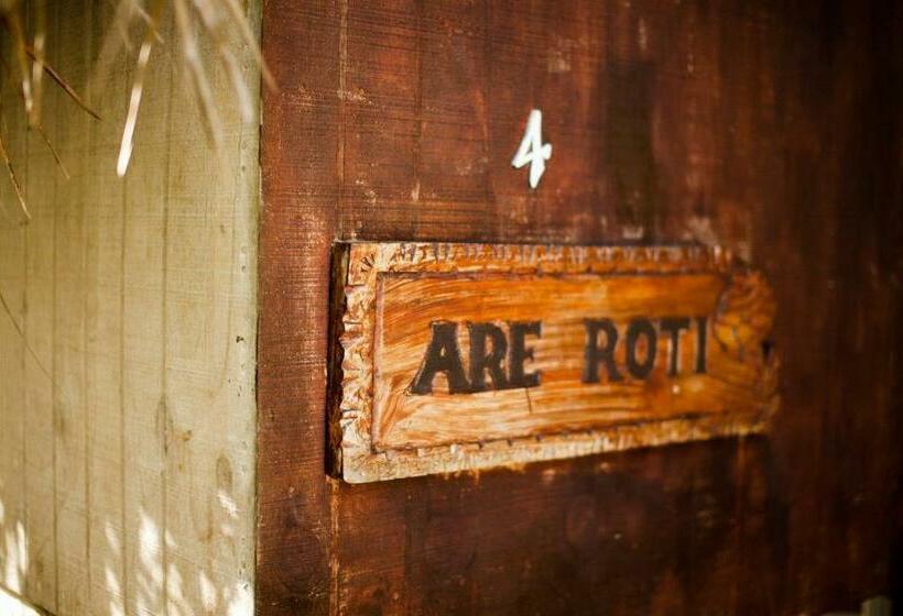 标准平房, Paradise Cove Lodge