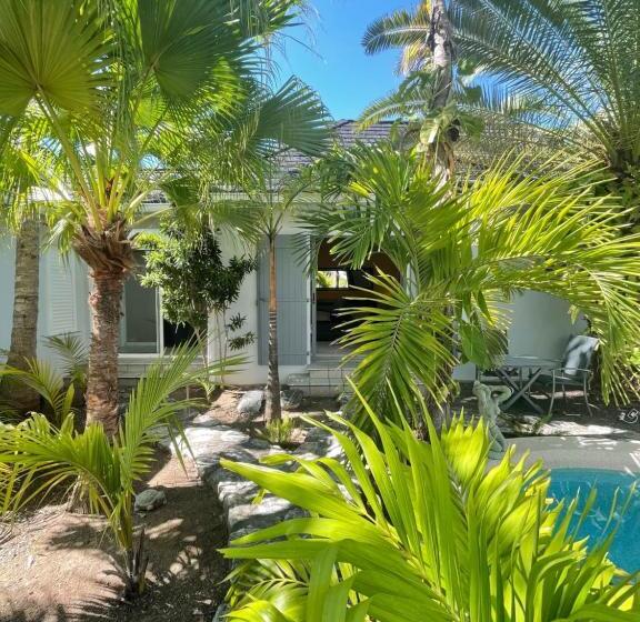 سوییت با چشمانداز استخر, Résidence Adam Et Eve