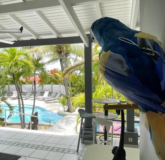 استودیو استاندارد با تراس, Résidence Adam Et Eve