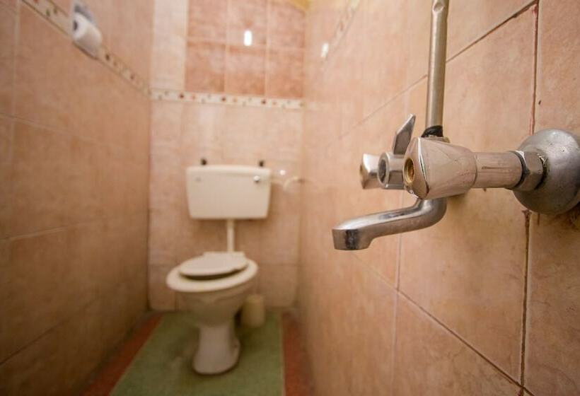 اتاق اکونومی, Inter Leisure