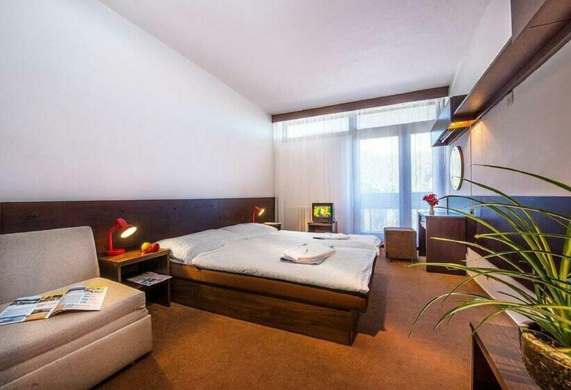 Номер Стандарт с Балконом, Sorea Marmot