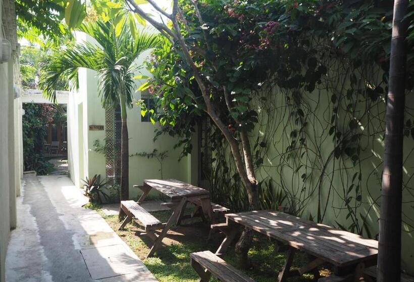 Executive Szoba, The Gecho Inn Town