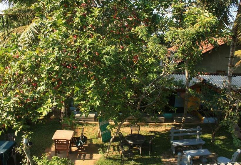 스탠다드 룸, Plantation Surf Inn & Restaurant