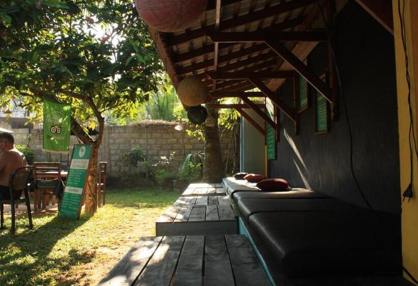 디럭스 테라스 룸 바다 전망, Plantation Surf Inn & Restaurant