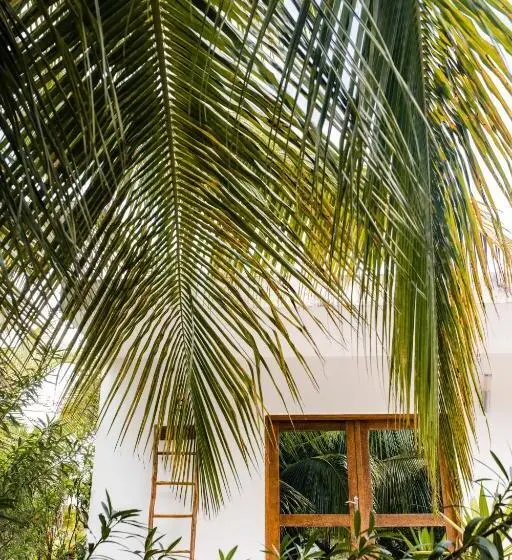 Superior-bungalow, White Paradise Zanzibar