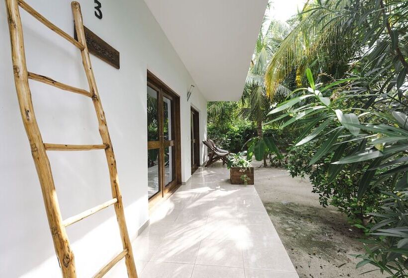 수피리어 방갈로, White Paradise Zanzibar