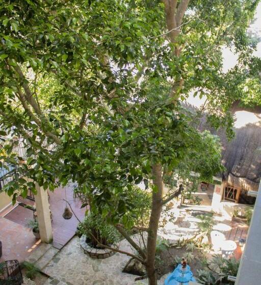 غرفة أساسية, Hostal Nojoch Che