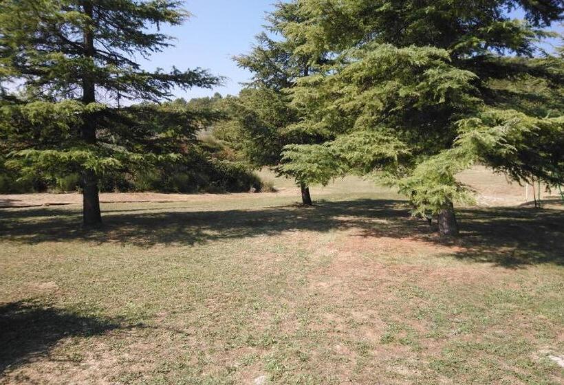 חדר סטנדרט, Chambres D Hôtes L Amphitryon 5 Chambres