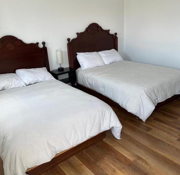 Четырехместный Номер Стандарт, Motel M