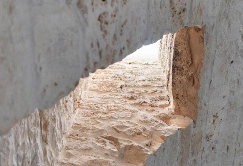 Номер Superior, Corallo House