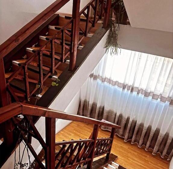 Номер Стандарт, Pensiunea Alexia