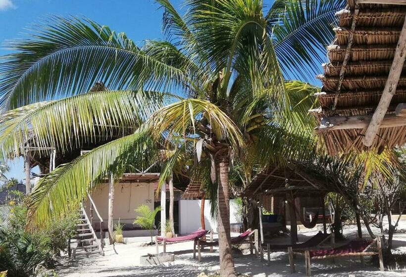 家庭间, Summer Dream Lodge