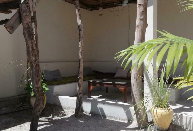 家庭间, Summer Dream Lodge