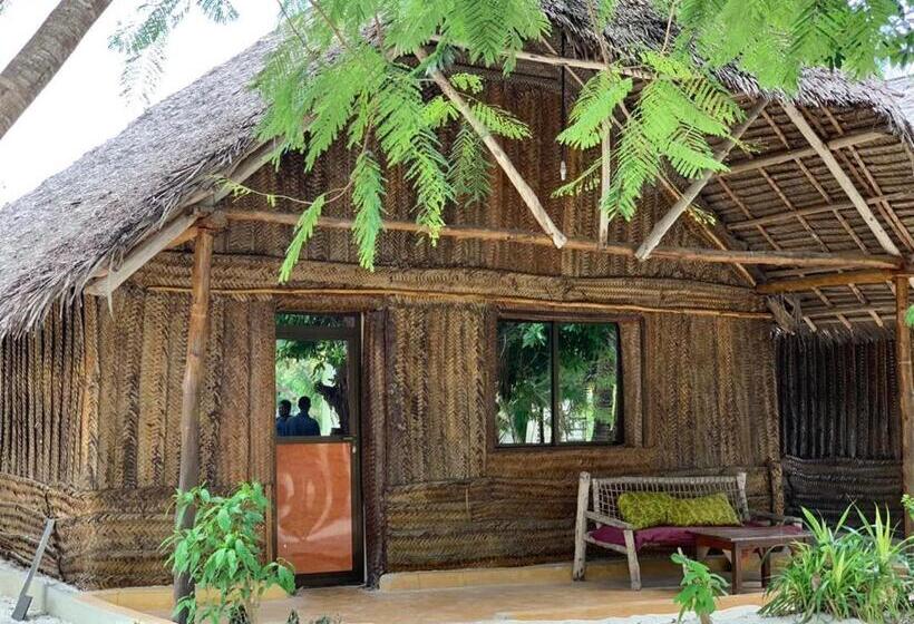 家庭间, Summer Dream Lodge