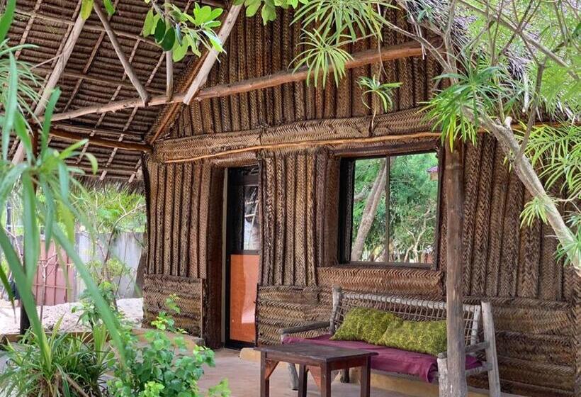 패밀리 룸, Summer Dream Lodge