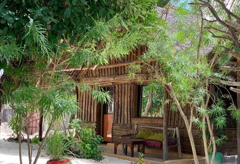 家庭间, Summer Dream Lodge