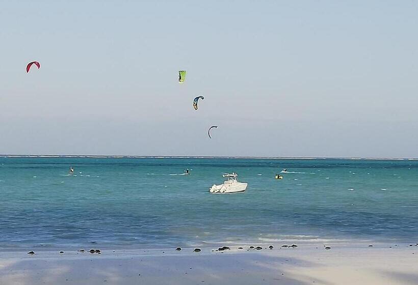 带大床的标准间, Summer Dream Lodge