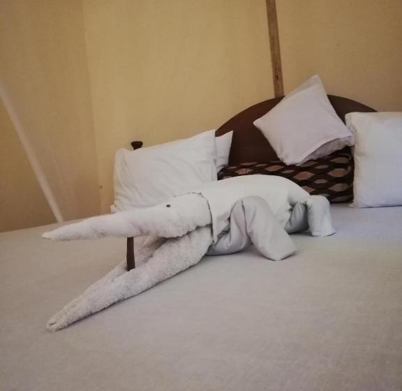 带大床的标准间, Summer Dream Lodge