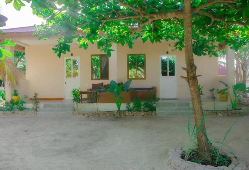 标准三人间, Summer Dream Lodge