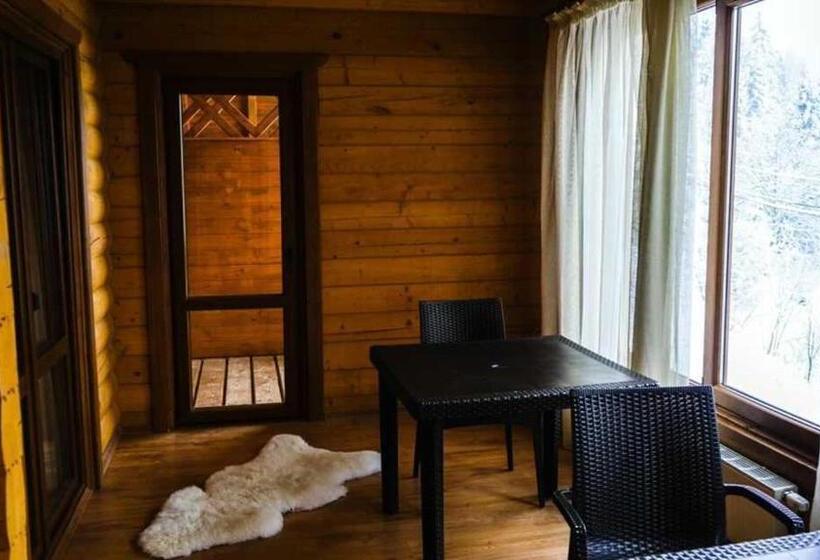 اتاق استاندارد, Karpatski Dzherela