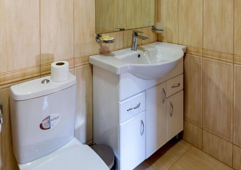 سوییت با چشمانداز کوه, Karpatski Dzherela