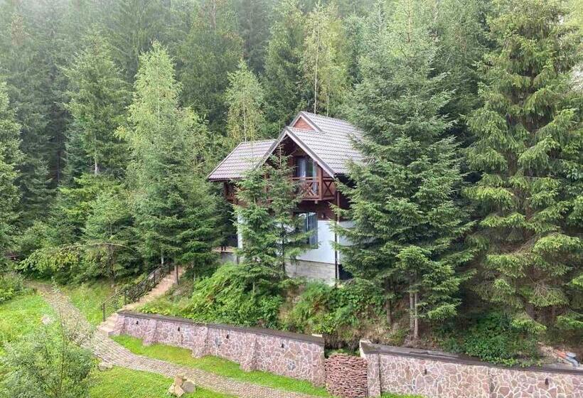 خانه 2 خوابه, Karpatski Dzherela